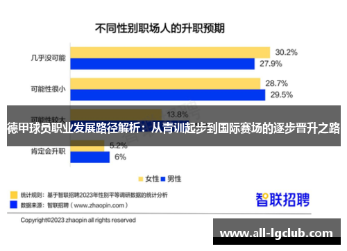 德甲球员职业发展路径解析：从青训起步到国际赛场的逐步晋升之路