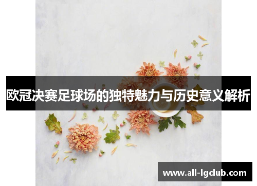 欧冠决赛足球场的独特魅力与历史意义解析