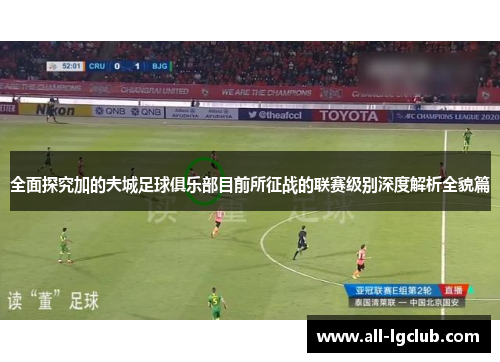 全面探究加的夫城足球俱乐部目前所征战的联赛级别深度解析全貌篇